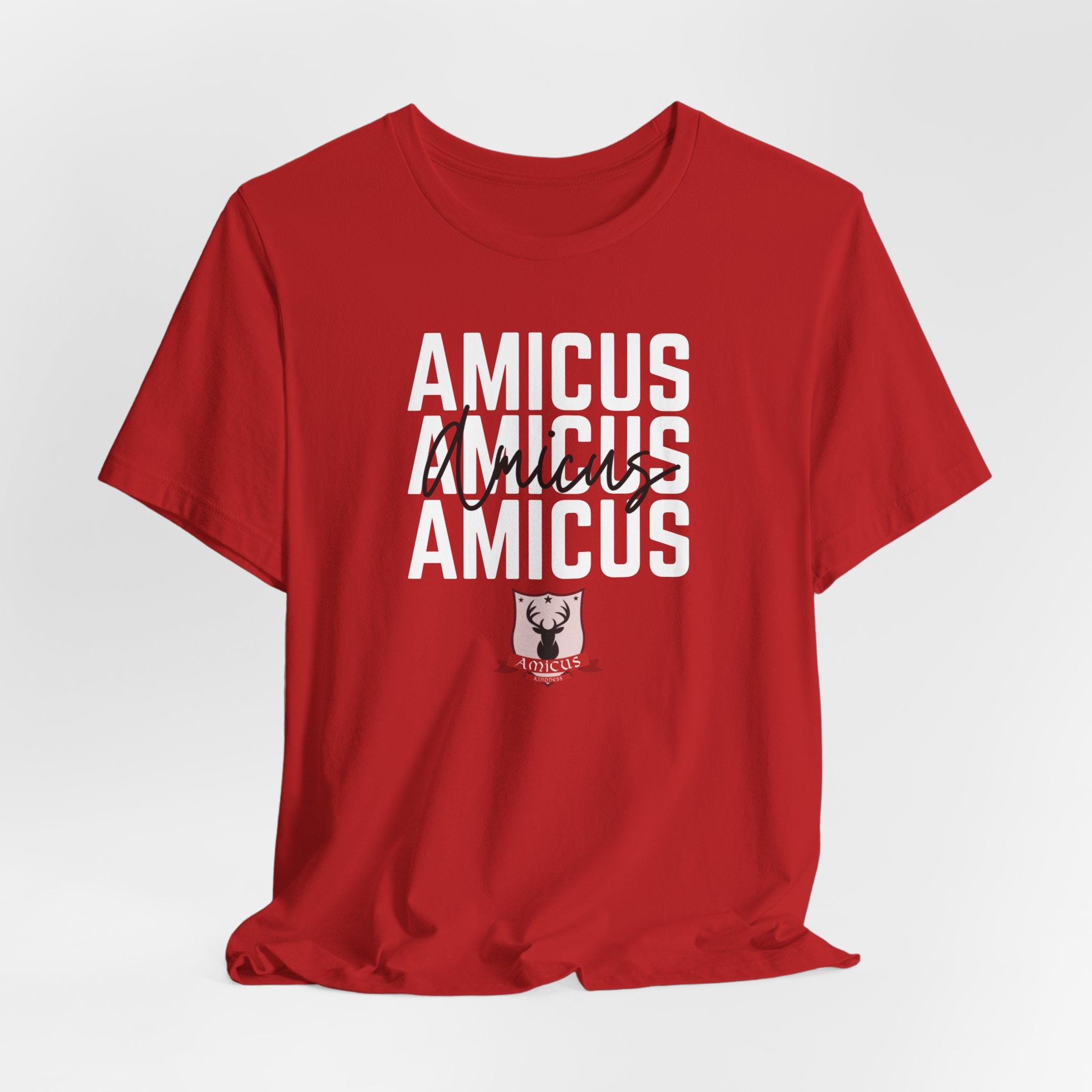 AMICUS - House T-Shirt